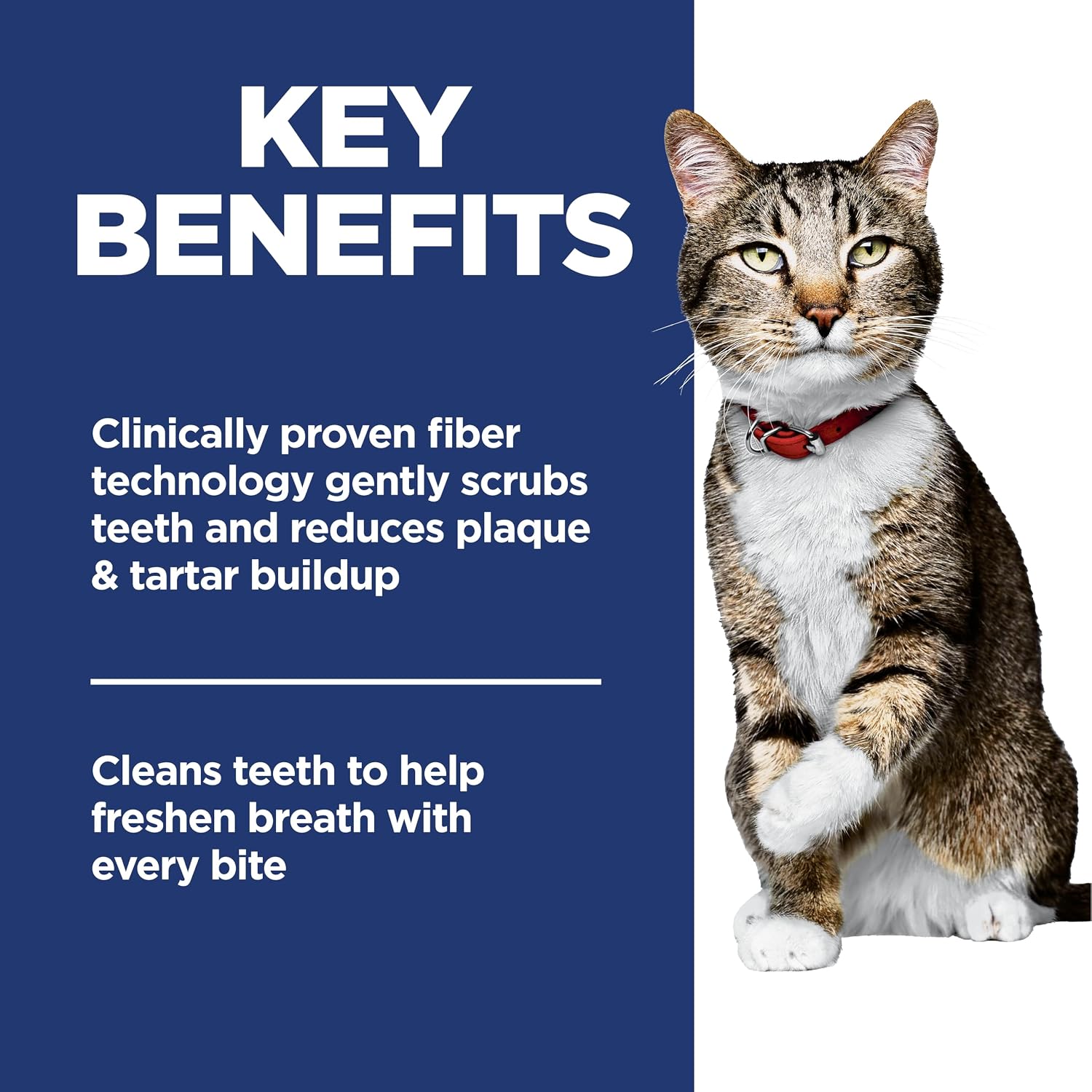 Hill's Science Diet Adult Oral Care Dry Cat Food