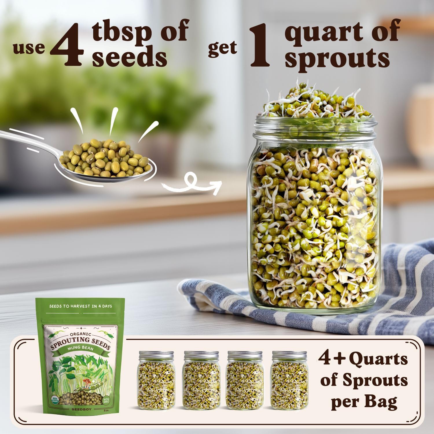 Seedboy Organic Non-GMO Sprouting Seeds (Mung Bean)