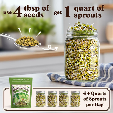Seedboy Organic Non-GMO Sprouting Seeds (Mung Bean)
