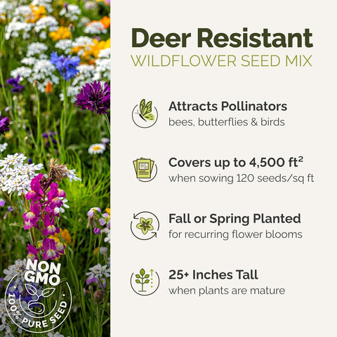 Eden Brothers Deer Resistant Wildflower Mixed Seeds for Planting, 1 lb