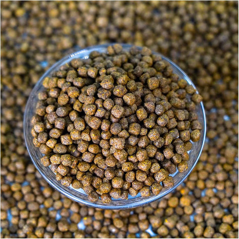 Natural Waterscapes Game Fish Food Variety | Pond and Lake Fish Food Pellets | 22 lb Bag | Feed to Bass, Bluegill, Trout, Catfish, tilapia | Floating Pellets