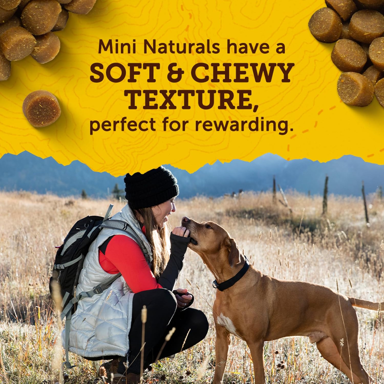 Zuke’s Mini Naturals Dog Training Treats for Dogs, Pet Treats Made with Real Peanut Butter- 16 oz. Bag