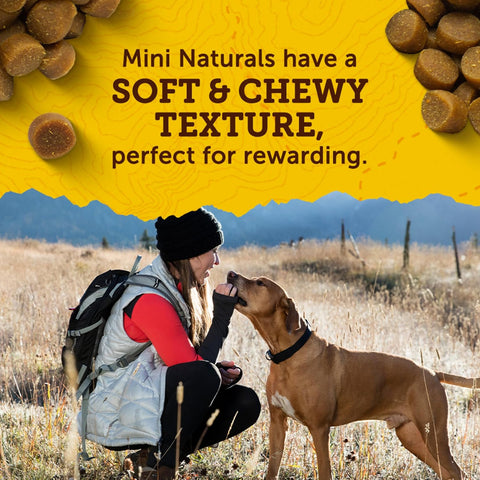 Zuke’s Mini Naturals Dog Training Treats for Dogs, Pet Treats Made with Real Chicken, 16 oz