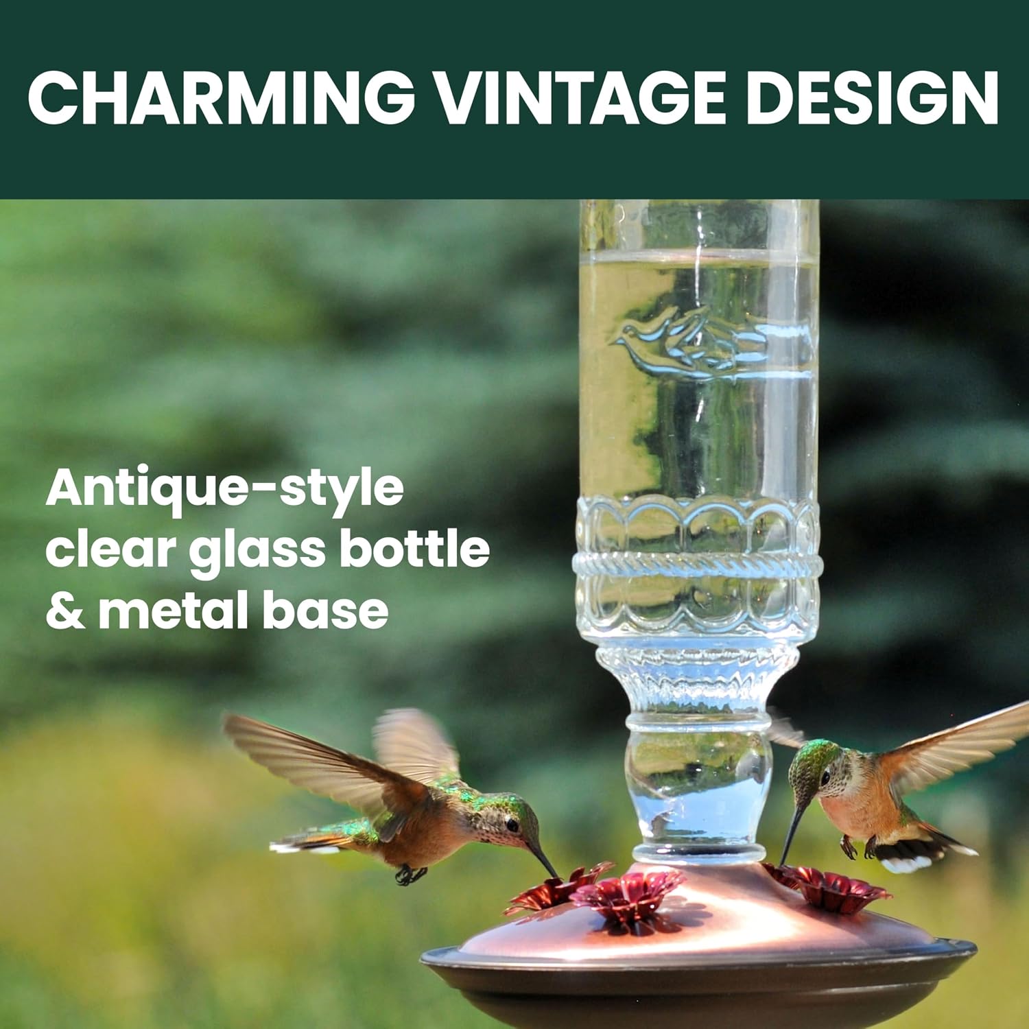 Perky-Pet Antique Glass Bottle Hummingbird Feeder - Outdoor Garden Décor Hummingbird Feeder - 8107-1SR - 10 Fl Oz Nectar Capacity - Durable Humming bird Feeder for Backyards, Porches, Decks, Hooks