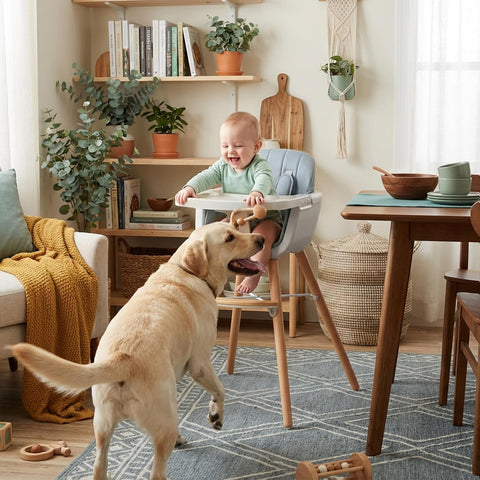 Mallify 3-in-1 Wooden High Chair, Convertible High Chairs for Babies and Toddlers, Baby Highchair with Adjustable Legs & Dishwasher-Safe Tray, Sleek Hardwood & Premium PU Cushion, Blue