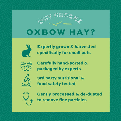 Oxbow Western Timothy Hay, Rabbit & Guinea Pig Hay, High Fiber, USA, 40 oz