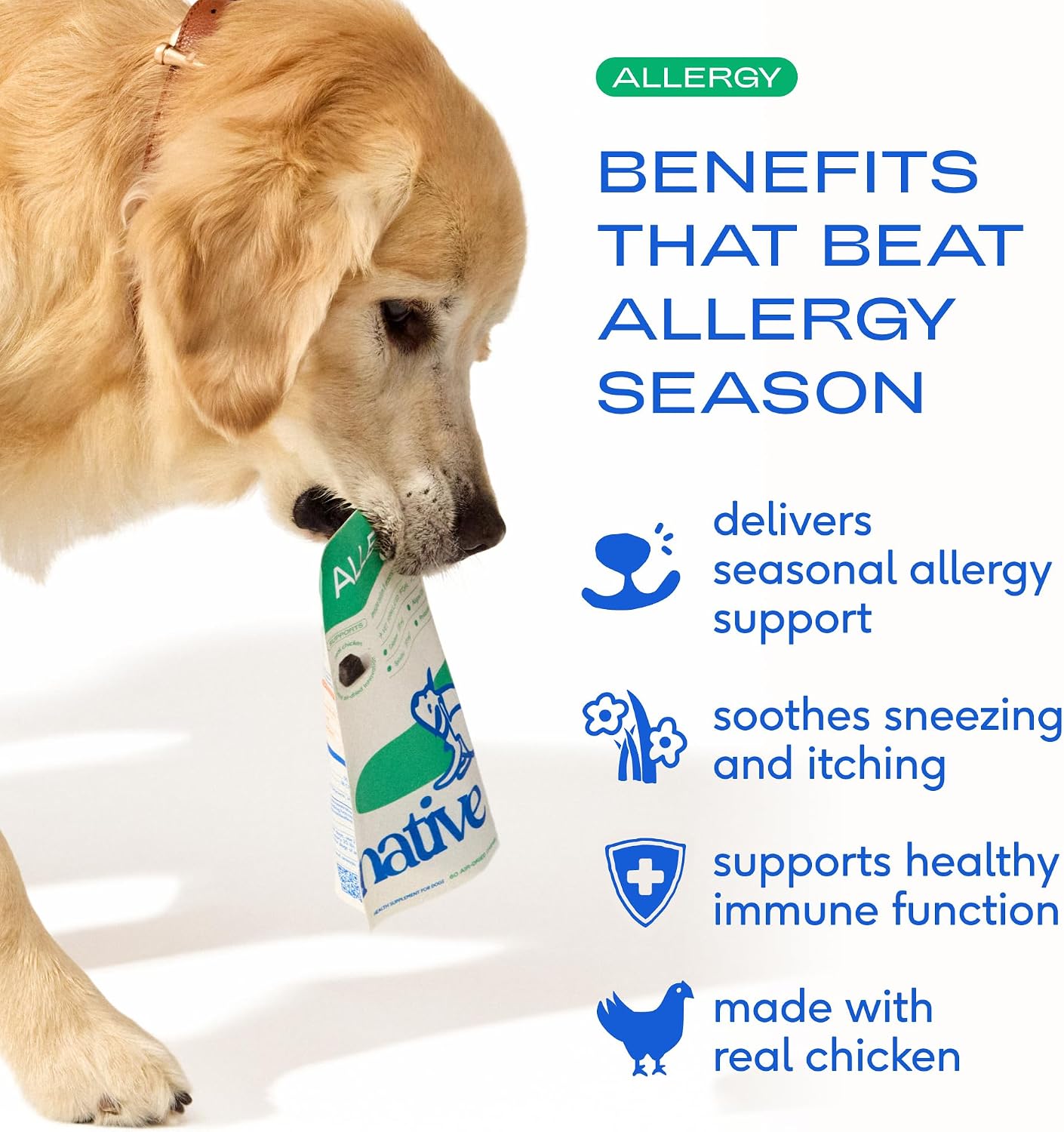 Native Pet Dog Allergy Chews for Medium Breeds - Itchy Skin and Seasonal Itch Support - Colostrum, Probiotics, Spirulina - 30 Chews