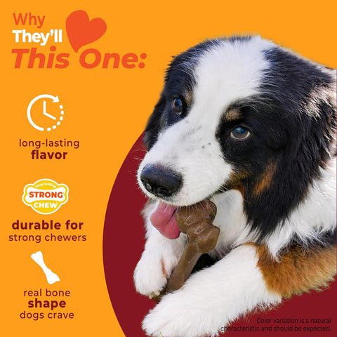 Nylabone Strong Chew Femur Bone Dog Toy, Dog Bone for Aggressive Chewers