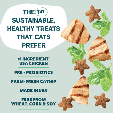Shameless Pets Catnip N Chill Crunchy Cat Treats, 12 oz