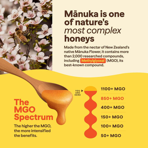 Wedderspoon Raw Manuka Honey 850+ MGO, 8.8 Oz