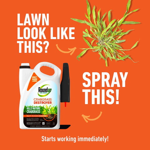 Roundup for Lawns Crabgrass Destroyer2, 64 fl. oz.