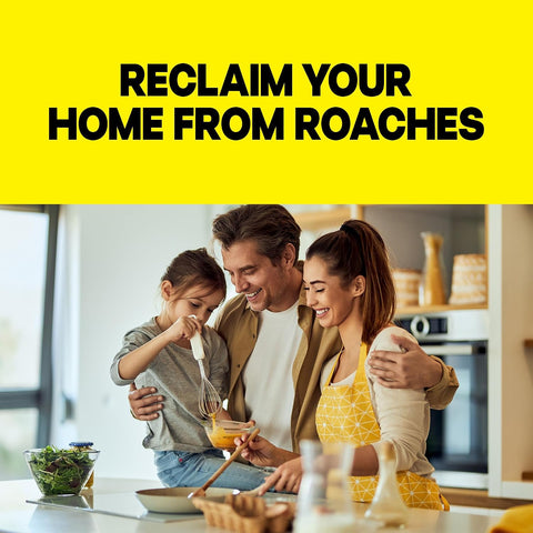 Raid Large Roach Baits, Child Resistant, For Indoor Use, Kills Roaches for 3 Months, 12 Count