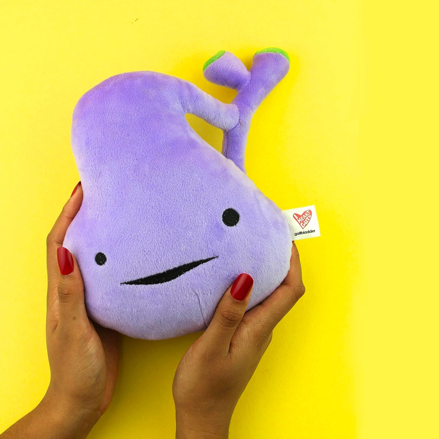 I Heart Guts Gallbladder Plush -8.5" Cute Educational Organ Toy for Gallbladder Removal Surgery Gallstones - Funny Get Well Recovery Gift for Nurse, Patients & Medical Student STEM Anatomy Plushie