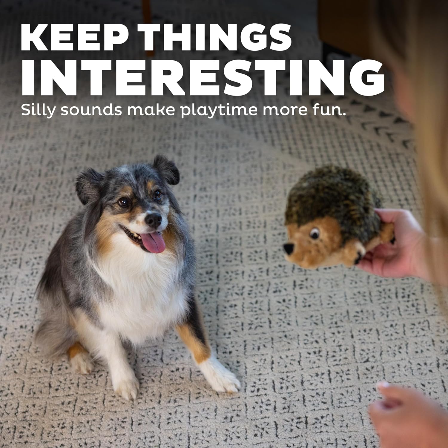 Outward Hound Hedgehogz Plush Dog Toy, Squeaks & Grunts, Medium, 9" x 6.5"
