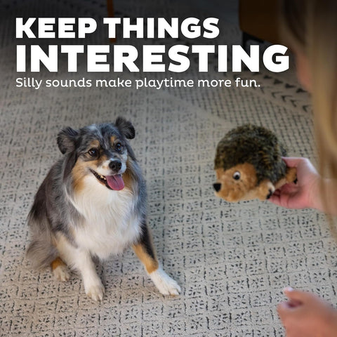 Outward Hound Hedgehogz Plush Dog Toy, Squeaks & Grunts, Medium, 9" x 6.5"