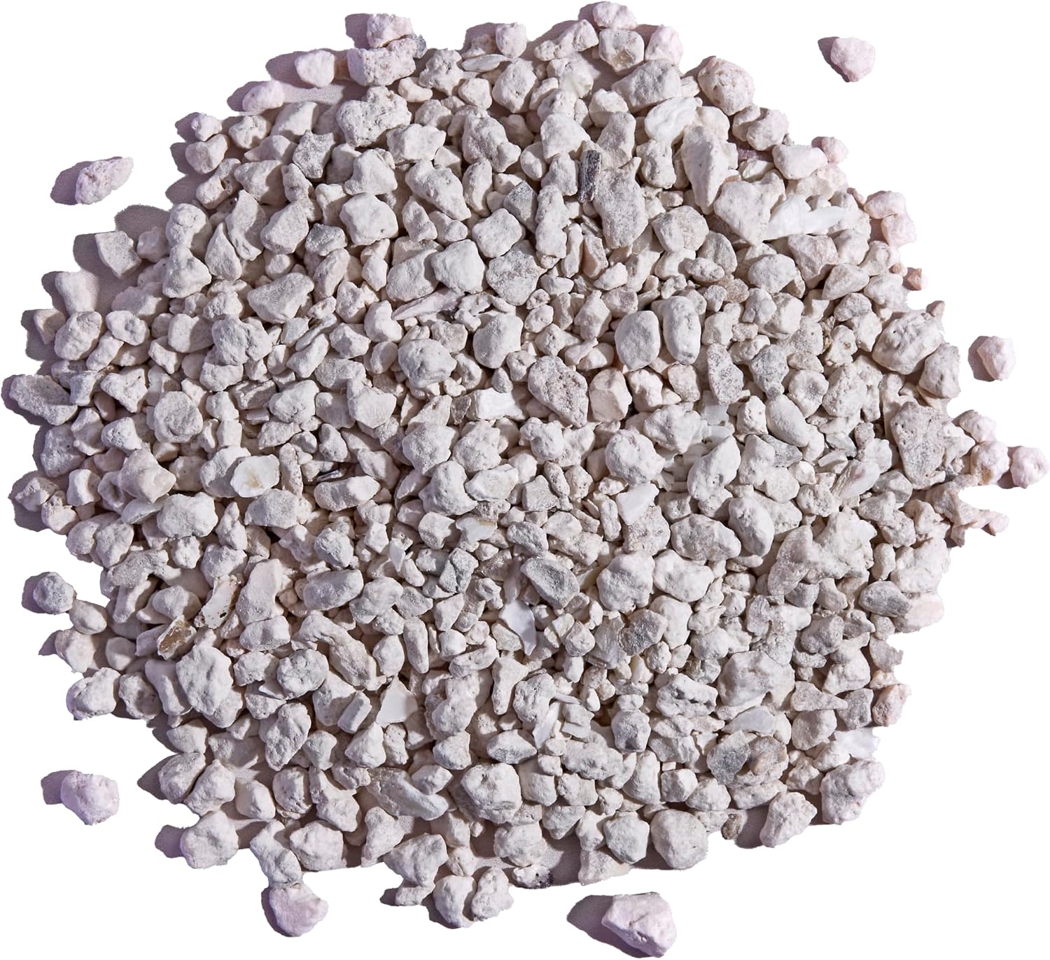 Pecking Order Oyster Shell - Calcium Supplement to Support Laying Hens and Strong Egg Shell Development (5 LB) (Packaging May Vary)