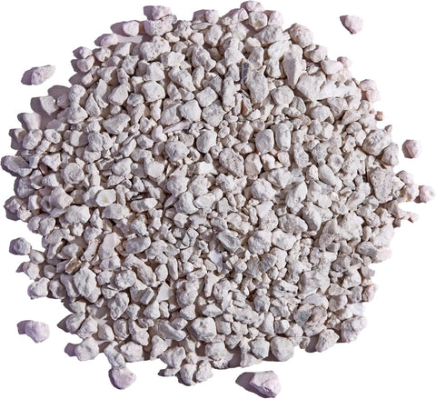 Pecking Order Oyster Shell - Calcium Supplement to Support Laying Hens and Strong Egg Shell Development (5 LB) (Packaging May Vary)