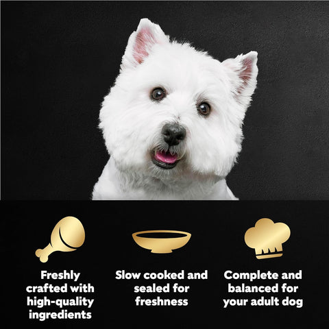 Cesar Mini-Pouch Wet Dog Food, Filet Variety Pack, 1.76 oz, 40 Count