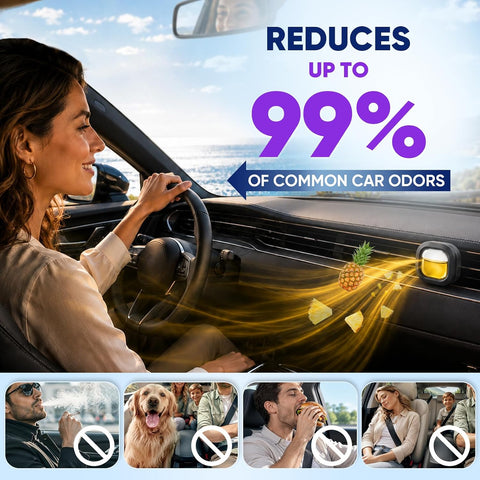 16 Pack Car Air Freshener Vent Clips, 4 Plant-Based Scents, Car Fresheners