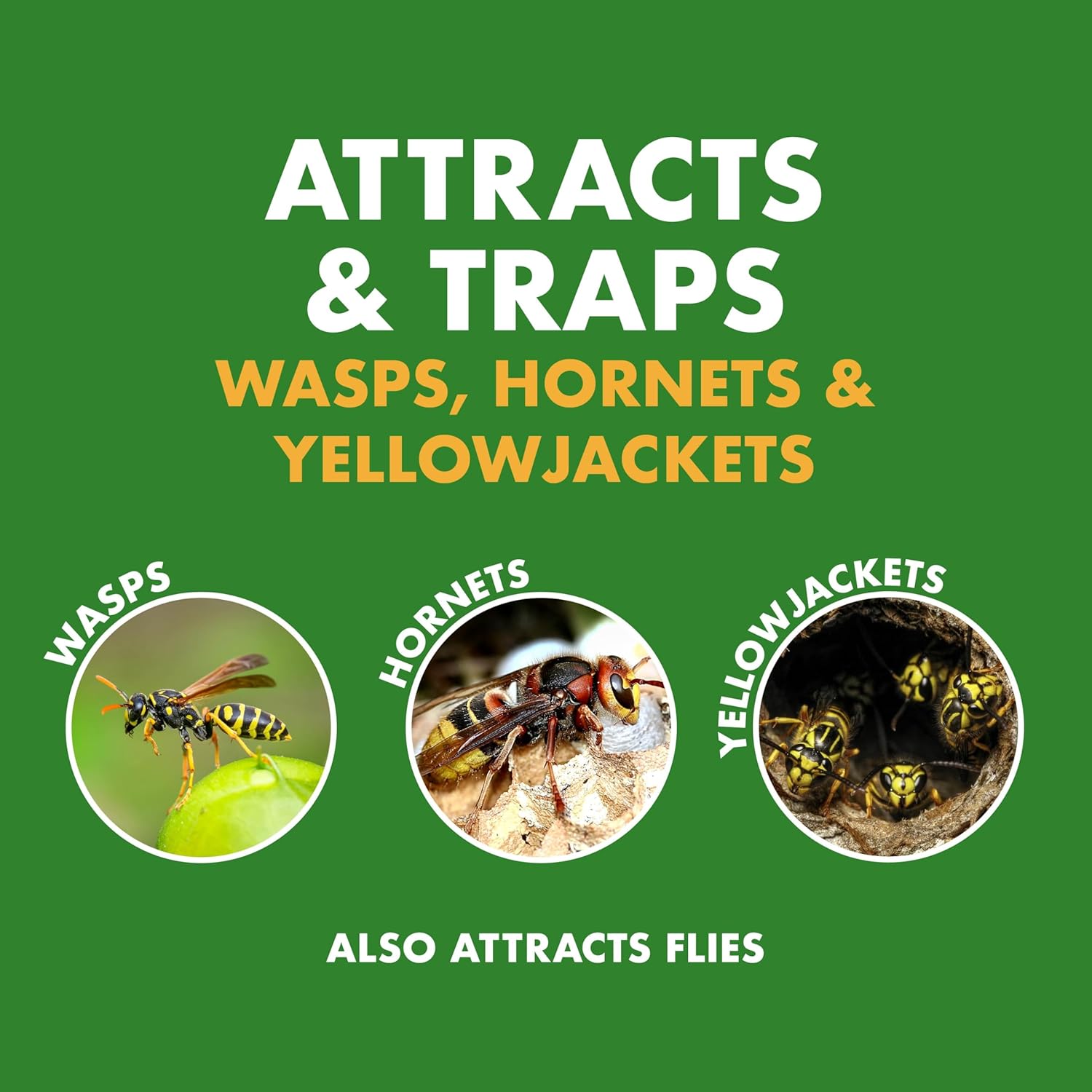Spectracide Wasp, Hornet & Yellowjacket Trap, 1 Count
