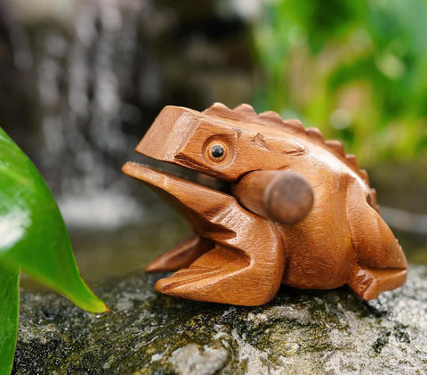 BSIRI 4" Frog Guiro Rasp - Small Instrument Musical Wooden Percussion Wood Block Instrument of Frog Noise Maker and Cool Music Gifts Ideas Funny Weird Instruments for Adults Made from Nature Wood
