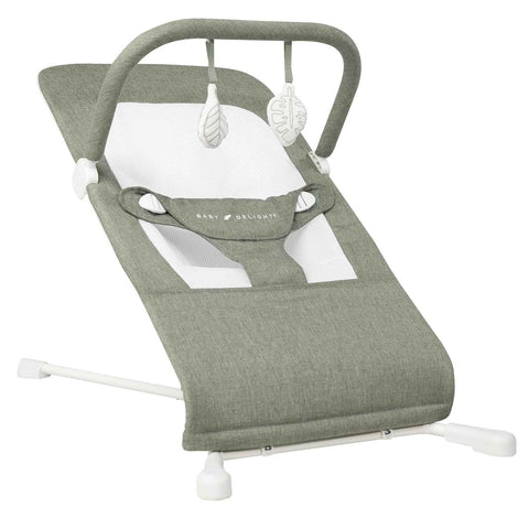 Baby Delight Highland Baby Bouncer, Sage Tweed