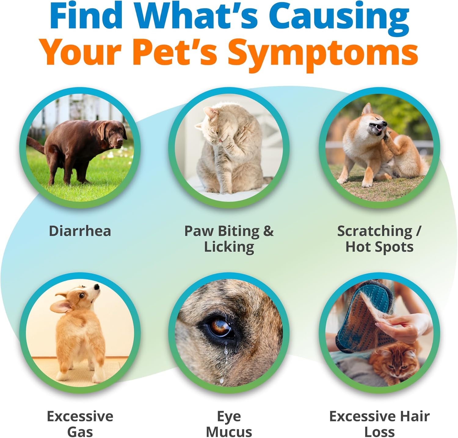 5Strands Raw & Fresh Pet Food Intolerance Test, 455 Items Tested