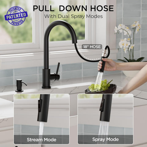 FORIOUS Kitchen Faucet, 2-Mode Pull Down Sprayer, Classic Matte Black