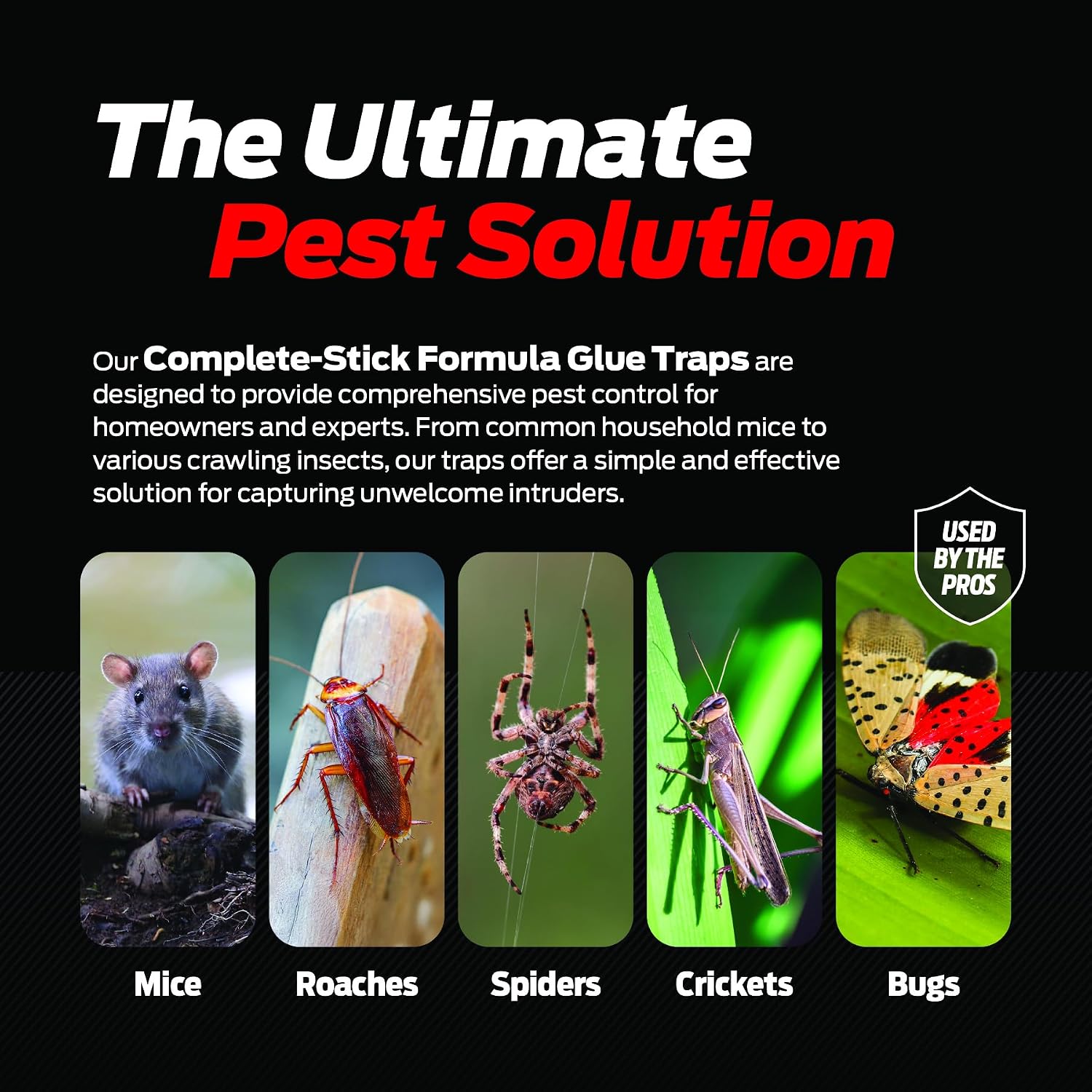 Glue Traps for Mice & Bugs – Safe Around Children & Pets – Strong Adhesive Glue for Bugs, Insects & Cockroaches – Easy to Use & Clean – Sticky Glue Traps for Indoor Use (12 Pack)