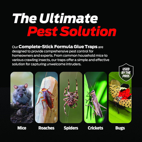 Glue Traps for Mice & Bugs – Safe Around Children & Pets – Strong Adhesive Glue for Bugs, Insects & Cockroaches – Easy to Use & Clean – Sticky Glue Traps for Indoor Use (12 Pack)