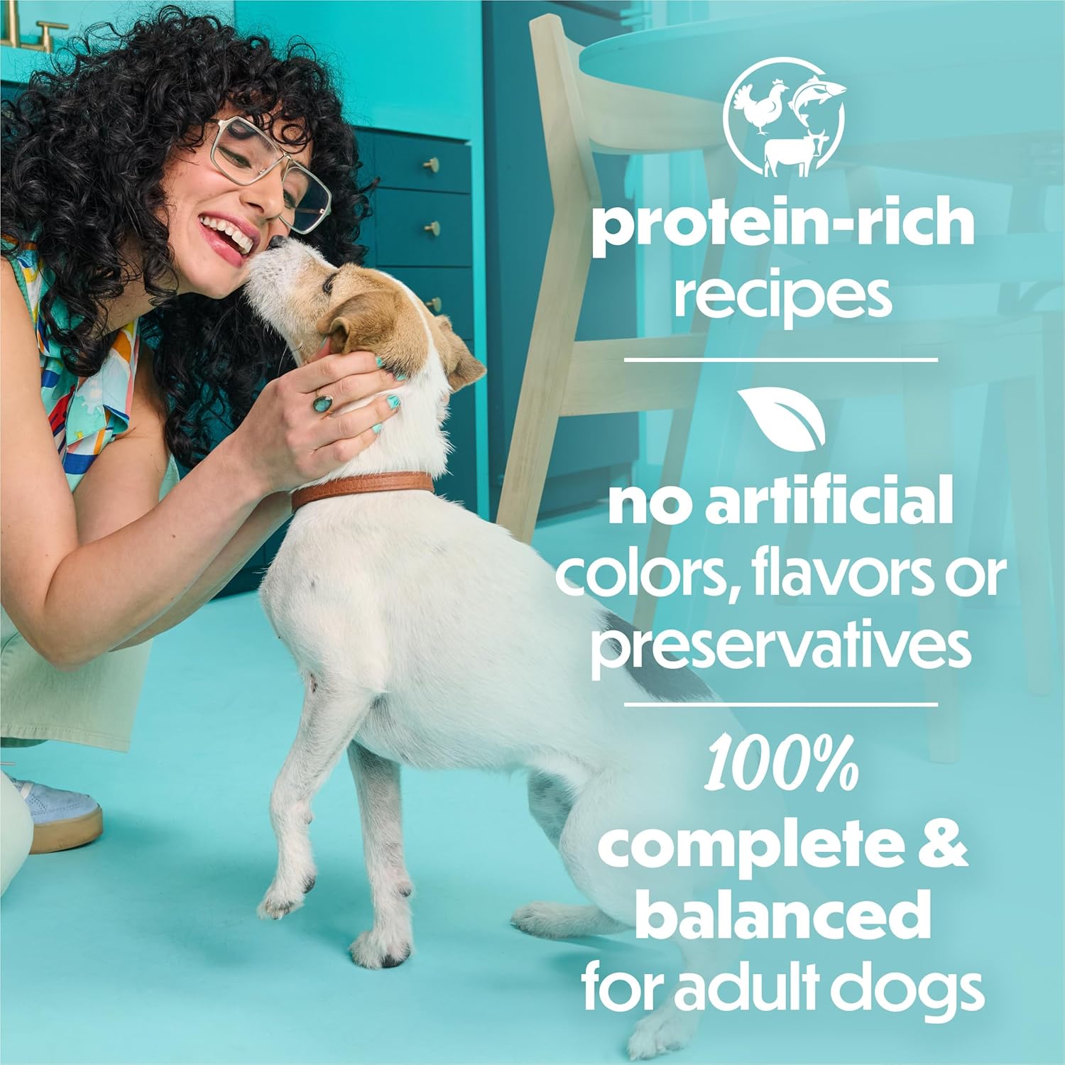 Purina Beneful Small Breed Wet Dog Food Variety Pack, (30) 3 oz Cans