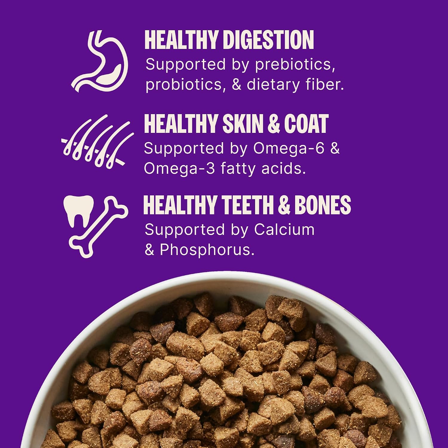 Wellness Complete Health Adult Dry Dog Food, Wholesome Grain Kibble, Natural, Chicken and Oatmeal Recipe, 30 lb Bag
