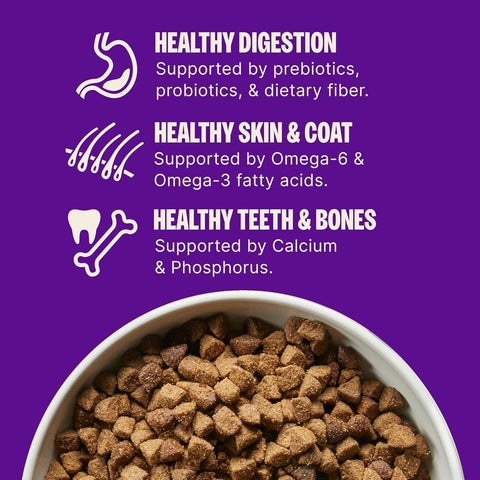 Wellness Complete Health Small Breed Adult Dry Dog Food, Wholesome Grain Kibble, Natural, Turkey and Oatmeal Recipe, 4 lb Bag