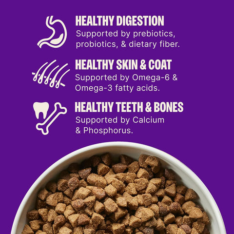 Wellness Complete Health Adult Dry Dog Food, Wholesome Grain Kibble, Natural, Chicken and Oatmeal Recipe, 30 lb Bag
