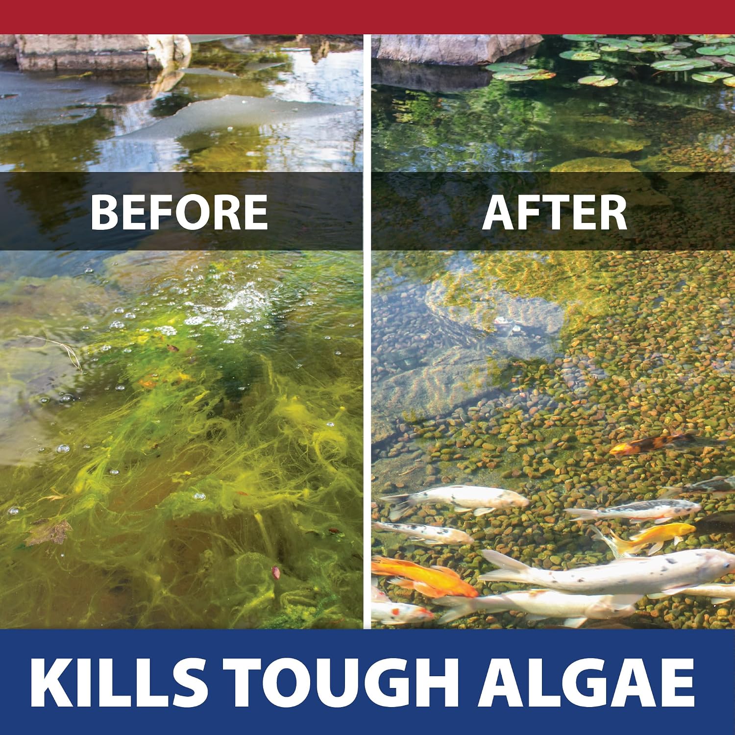 The Pond Guy InstaFix Algae Control Liquid Algaecide, 1 Gallon