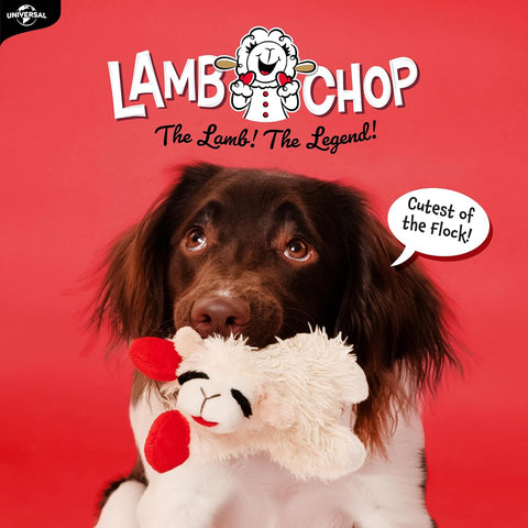 Multipet Lamb Chop Dog Plush Toy - Squeaky Toy for All Dogs - Extra Soft Plush - Stuffed Animal Dog Toy for Cuddling & Playing - Cute Pet Toy (6", Cream)