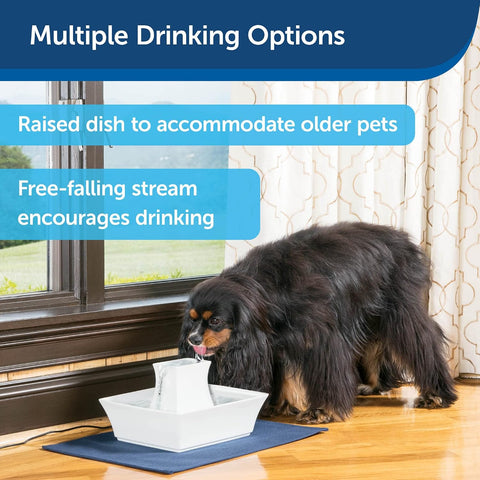 PetSafe Drinkwell Pagoda Fountain, Filters Included, 70 oz Ceramic, White