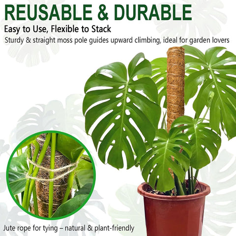 Soupiar 4 Pack 22 Inch Stackable Moss Pole - Thick & Sturdy Natural Coir Totem Plant Support & Garden Stakes for Monstera & Pothos, Indoor Climbing Vining Houseplants, 70" H Max