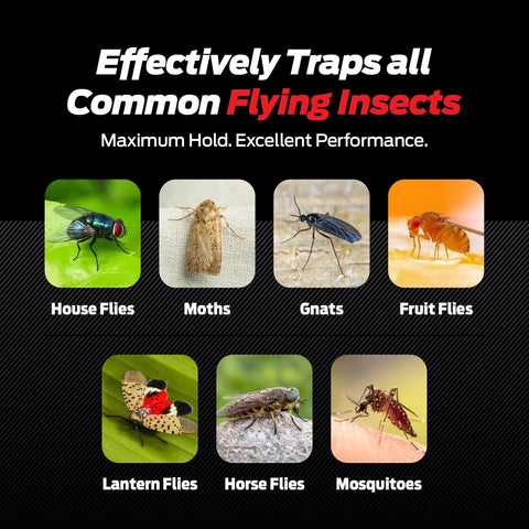 Fly Strips for Gnats, Fruit Flies & House Flies – Extra Sticky Fly Paper – Indoor Sticky Hanging Fly Tape for Home & Kitchen – Non-Toxic Fly Ribbon Rolls with Pins – 12 Pack