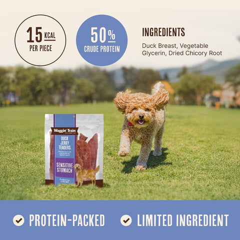 Waggin' Train Duck Jerky Dog Treats for Dogs with Sensitive Stomachs, Made with 100% Real Duck Breasts, Three All-Natural Ingredients, High Protein Dog Treat, Easily Digestible for Dogs, 12 oz. Pouch