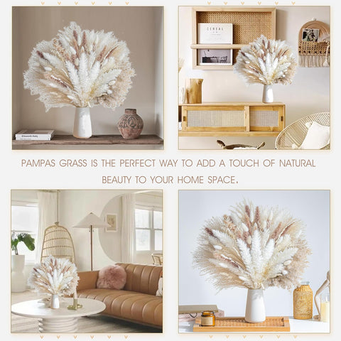 96PCS Natural Dried Pampas Grass Boho Home Decor Bouquet Phragmites Dried Flowers Bouquet for Wedding Floral Arrangements Living Room Decorations (96PCS)
