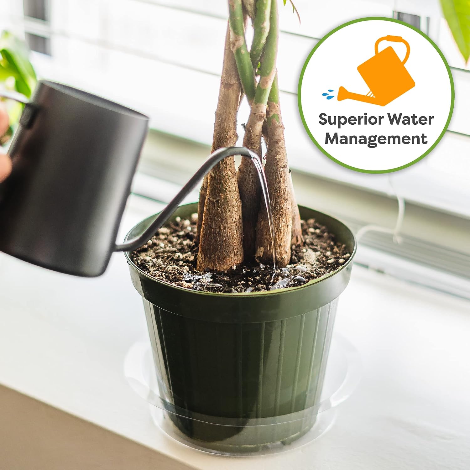 Perfect Plants Money Tree Potting Soil, 2 qt, Indoor Coco Coir Mix