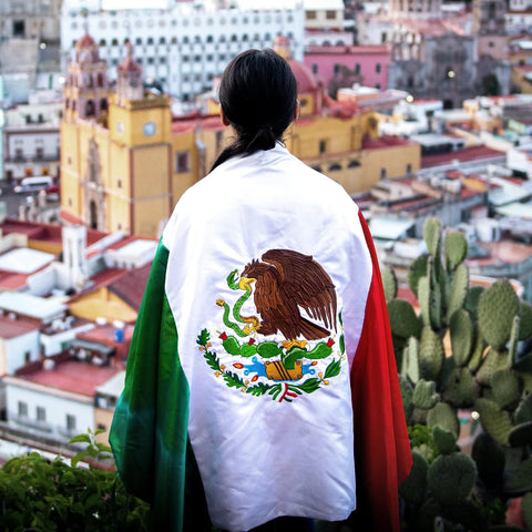 Anley EverStrong Series Embroidered Mexico Flag 3x5 Ft - Embroidery & Heavy Duty Canvas Header - 4 Rows of Lock Stitching - Mexican MX National Flag with Brass Grommets 3 X 5 Ft