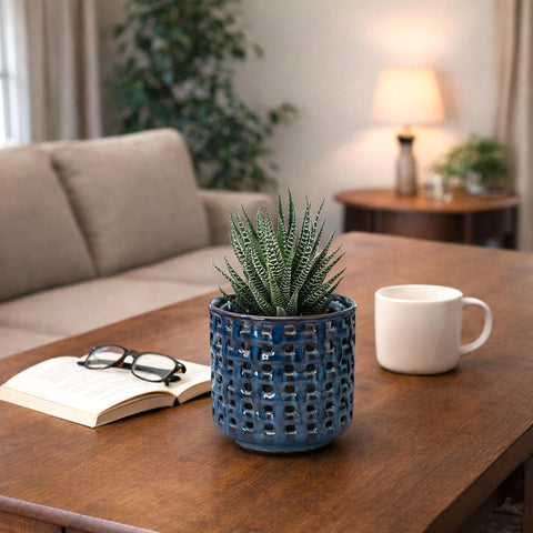 D'vine Dev Orchid Pot, Clear Pot & Saucer, Midnight Blue, 4.5 in, 28-A-Z-2