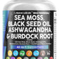 Sea Moss 3000mg Black Seed Oil 2000mg Ashwagandha 1000mg Turmeric 1000mg Bladderwrack 1000mg Burdock 1000mg & Vitamin C & D3 with Elderberry Manuka Dandelion Yellow Dock Iodine Chlorophyll ACV