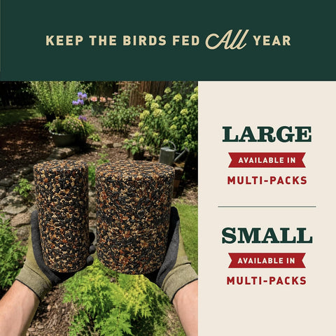 Mr. Bird WildBird Feast Cylinder, 4-Pack, 4 lbs