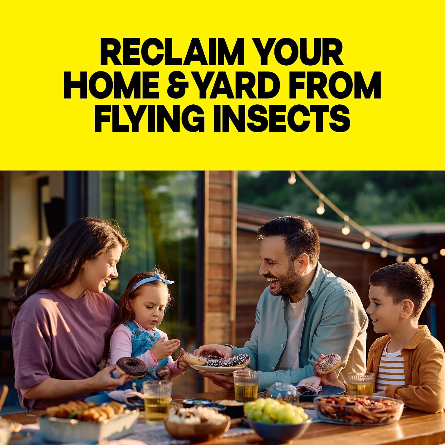 Raid Flying Insect Killer, Bug Spray For Indoor & Outdoor Use, 18 oz
