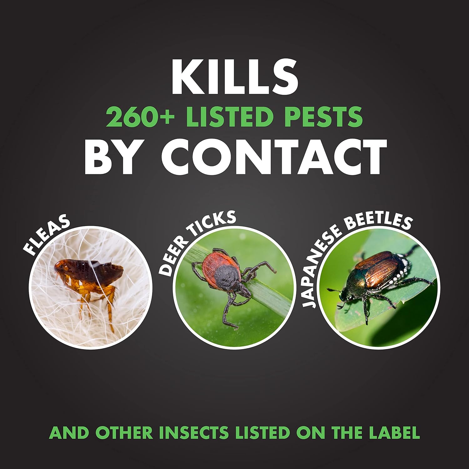 Spectracide Triazicide Insect Killer for Lawns & Landscapes 32 Oz