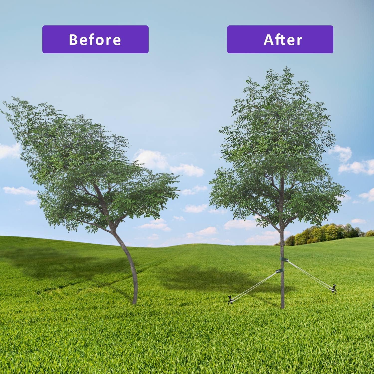 Heavy Duty Steel Tree Support Kit, Tree Stake Kit for Newly Planted Trees Against Bad Weather, Include 6 PCS Tree Straps for Staking, 6 PCS Tree Stakes and 2 PCS Rope of 31.2 FT for Anchoring (2)