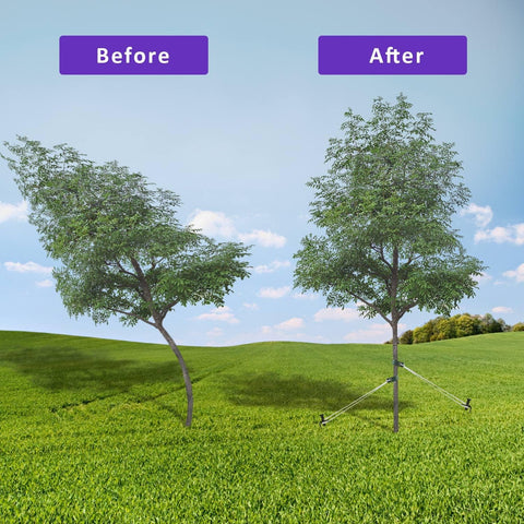 Heavy Duty Steel Tree Support Kit, Tree Stake Kit for Newly Planted Trees Against Bad Weather, Include 6 PCS Tree Straps for Staking, 6 PCS Tree Stakes and 2 PCS Rope of 31.2 FT for Anchoring (2)